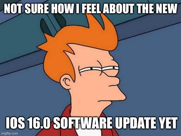 How do u feel | NOT SURE HOW I FEEL ABOUT THE NEW; IOS 16.0 SOFTWARE UPDATE YET | image tagged in skeptical fry,memes,funny | made w/ Imgflip meme maker