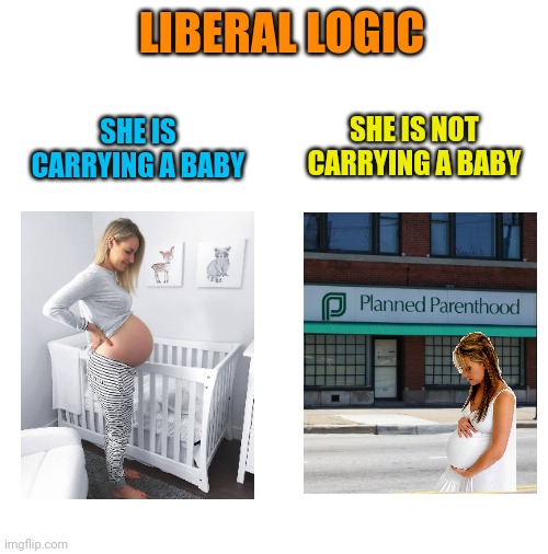 Amazing how just a thought can change reality  almost like if you think you're a man in a woman's body then you are! | LIBERAL LOGIC; SHE IS NOT CARRYING A BABY; SHE IS CARRYING A BABY | image tagged in blank white template | made w/ Imgflip meme maker