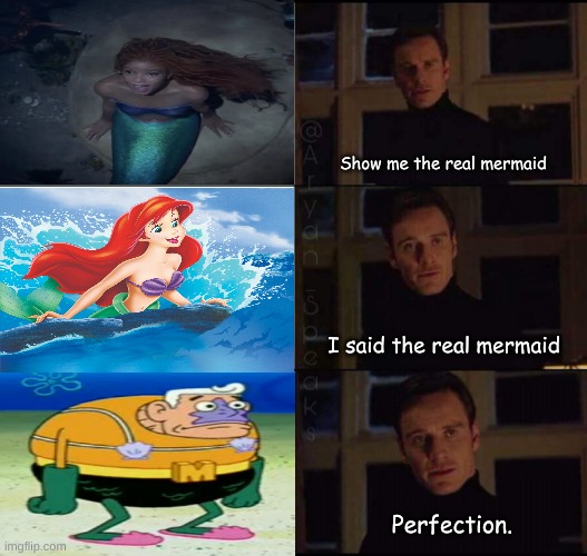 the real mermaid |  Show me the real mermaid; I said the real mermaid; Perfection. | image tagged in show me the real | made w/ Imgflip meme maker
