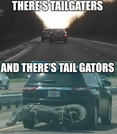 THERE'S TAILGATERS; AND THERE'S TAIL GATORS | made w/ Imgflip meme maker