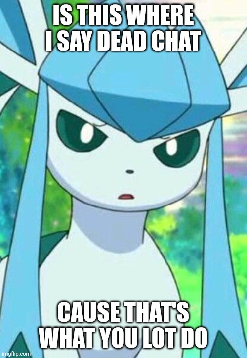 Glaceon confused | IS THIS WHERE I SAY DEAD CHAT; CAUSE THAT'S WHAT YOU LOT DO | image tagged in glaceon confused | made w/ Imgflip meme maker