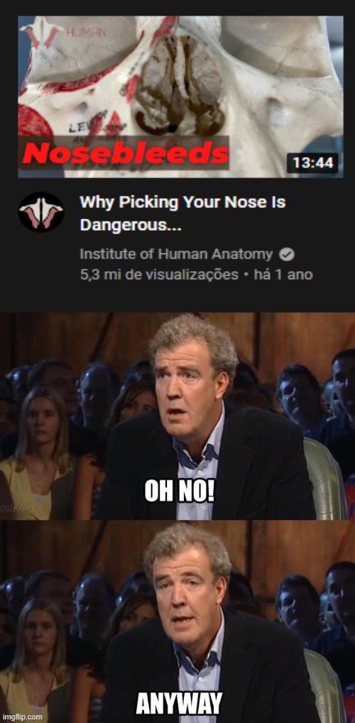 Oh no! Anyway | image tagged in oh no anyway,nose,memes | made w/ Imgflip meme maker