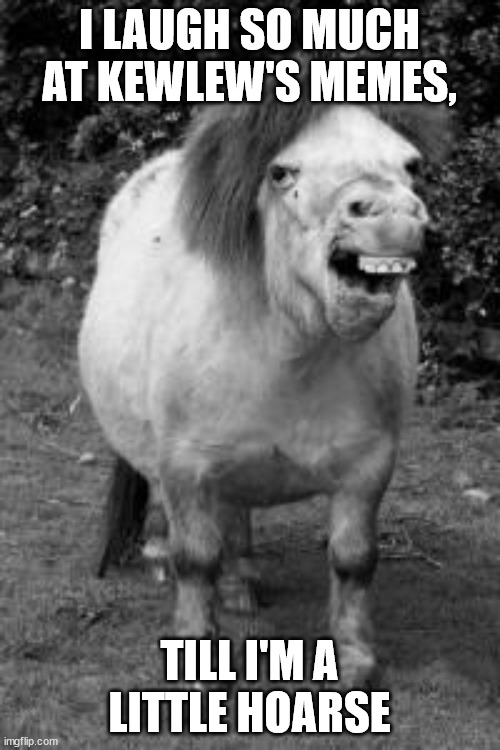 ugly horse | I LAUGH SO MUCH AT KEWLEW'S MEMES, TILL I'M A LITTLE HOARSE | image tagged in ugly horse | made w/ Imgflip meme maker