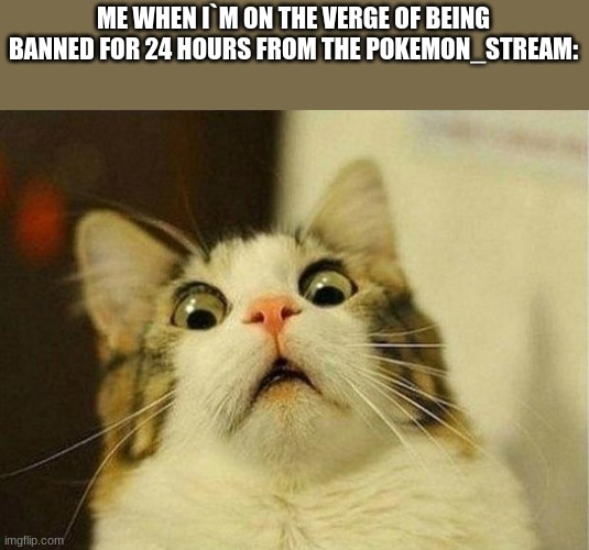 i don`t wanna be banned for 24 hours | ME WHEN I`M ON THE VERGE OF BEING BANNED FOR 24 HOURS FROM THE POKEMON_STREAM: | image tagged in memes,scared cat | made w/ Imgflip meme maker