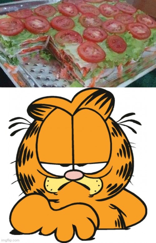 Cursed lasagna | image tagged in garfield,reposts,repost,memes,lasagna,cursed image | made w/ Imgflip meme maker