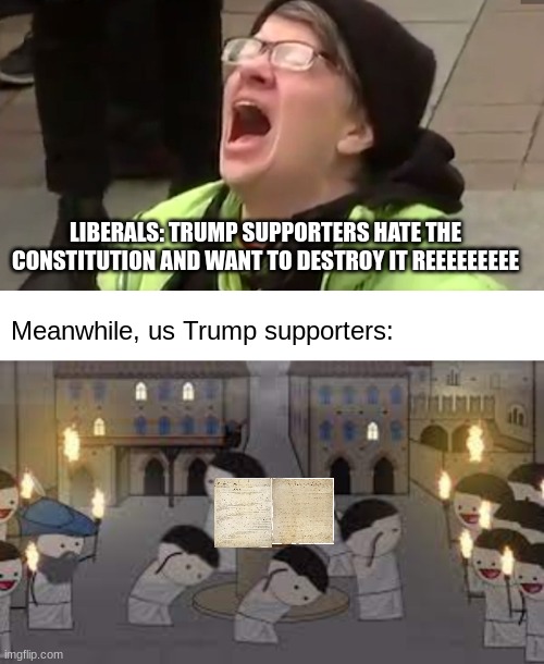 Liberal logic |  LIBERALS: TRUMP SUPPORTERS HATE THE CONSTITUTION AND WANT TO DESTROY IT REEEEEEEEE; Meanwhile, us Trump supporters: | image tagged in screaming liberal,liberal logic,stupid liberals,january 6,but trump,constitution day | made w/ Imgflip meme maker