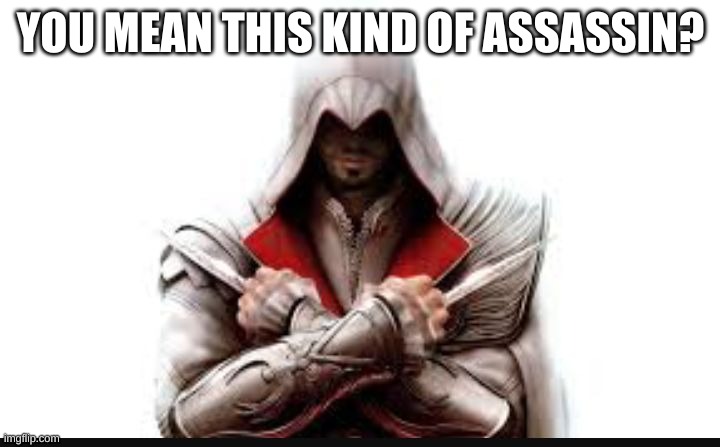 Assassins creed | YOU MEAN THIS KIND OF ASSASSIN? | image tagged in assassins creed | made w/ Imgflip meme maker