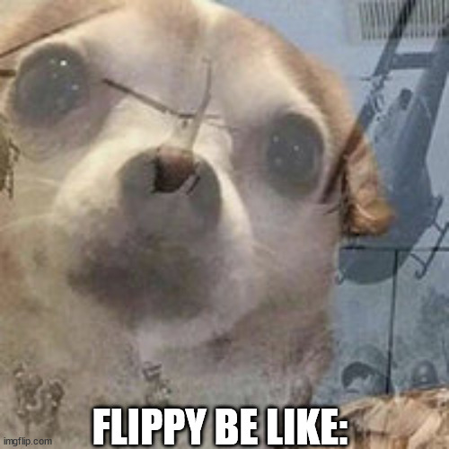 Vietnam Dog Flashbacks | FLIPPY BE LIKE: | image tagged in vietnam dog flashbacks | made w/ Imgflip meme maker
