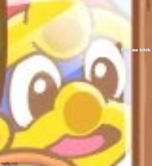 King Dedede feed me b-tch | image tagged in king dedede feed me b-tch | made w/ Imgflip meme maker