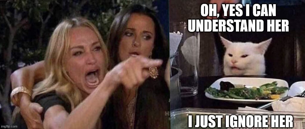 woman yelling at cat | OH, YES I CAN UNDERSTAND HER I JUST IGNORE HER | image tagged in woman yelling at cat | made w/ Imgflip meme maker