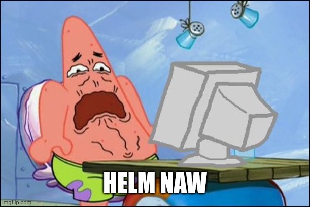 Patrick Star cringing | HELM NAW | image tagged in patrick star cringing | made w/ Imgflip meme maker