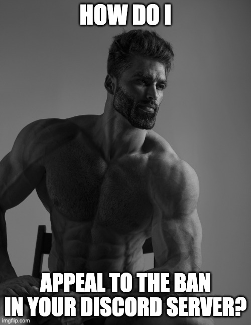 tell me how | HOW DO I; APPEAL TO THE BAN IN YOUR DISCORD SERVER? | image tagged in giga chad,discord,ban appeal | made w/ Imgflip meme maker