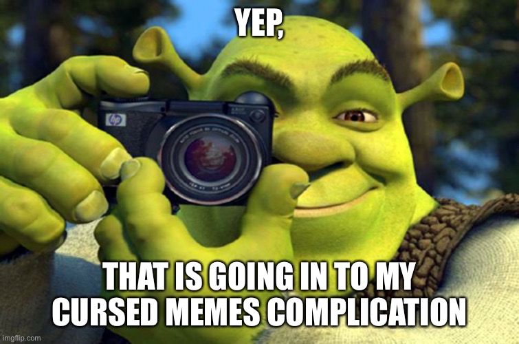 shrek camera | YEP, THAT IS GOING IN TO MY CURSED MEMES COMPLICATION | image tagged in shrek camera | made w/ Imgflip meme maker