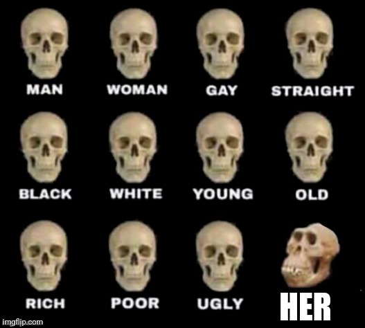 idiot skull | HER | image tagged in idiot skull | made w/ Imgflip meme maker