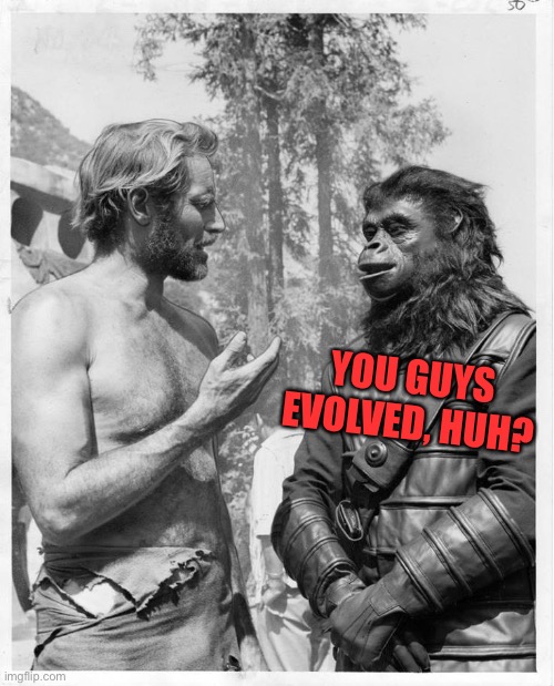 Planet of the apes | YOU GUYS EVOLVED, HUH? | image tagged in planet of the apes | made w/ Imgflip meme maker