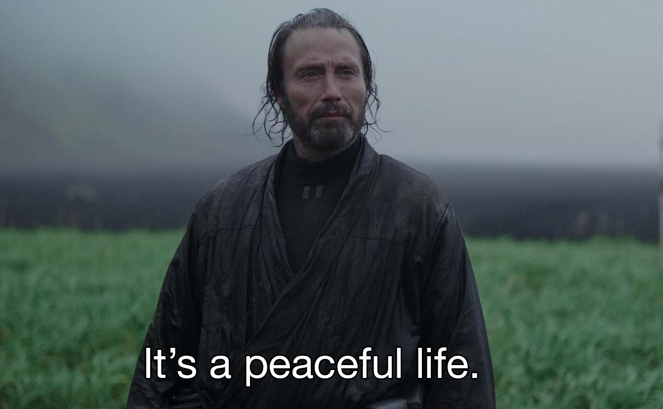 High Quality It’s a peaceful life. Blank Meme Template