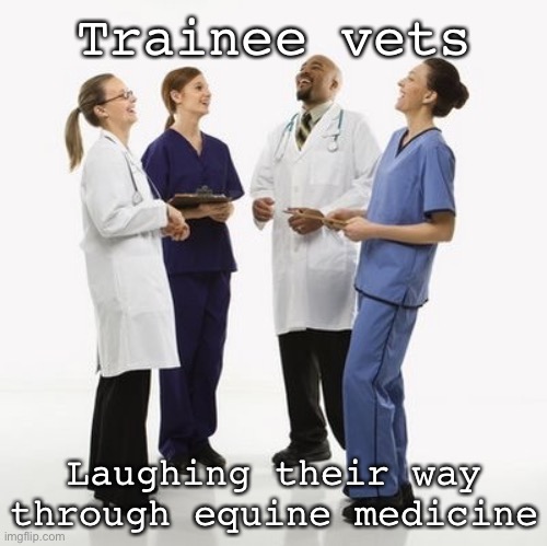 Vets | Trainee vets; Laughing their way through equine medicine | image tagged in doctors laughing,horses,vets | made w/ Imgflip meme maker