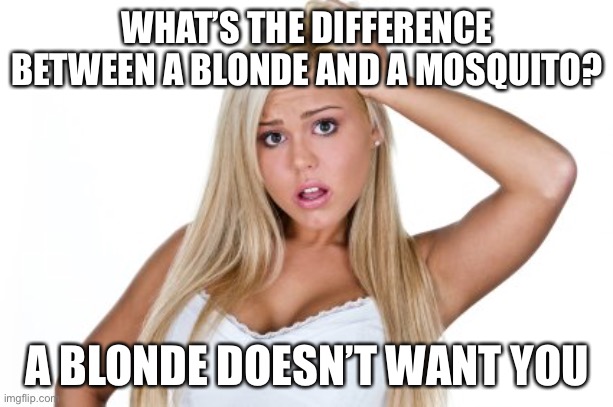 That sucks | WHAT’S THE DIFFERENCE BETWEEN A BLONDE AND A MOSQUITO? A BLONDE DOESN’T WANT YOU | image tagged in dumb blonde,mosquito,blonde | made w/ Imgflip meme maker
