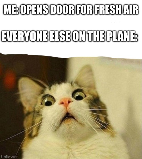 *insert title here* | ME: OPENS DOOR FOR FRESH AIR; EVERYONE ELSE ON THE PLANE: | image tagged in memes,scared cat | made w/ Imgflip meme maker