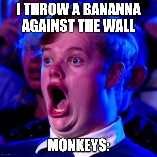 monkey meme | I THROW A BANANNA AGAINST THE WALL; MONKEYS: | image tagged in suprised | made w/ Imgflip meme maker
