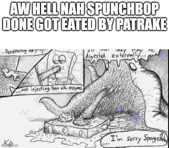 spunchbob | AW HELL NAH SPUNCHBOP DONE GOT EATED BY PATRAKE | image tagged in spongebob,patrick star,patrick | made w/ Imgflip meme maker