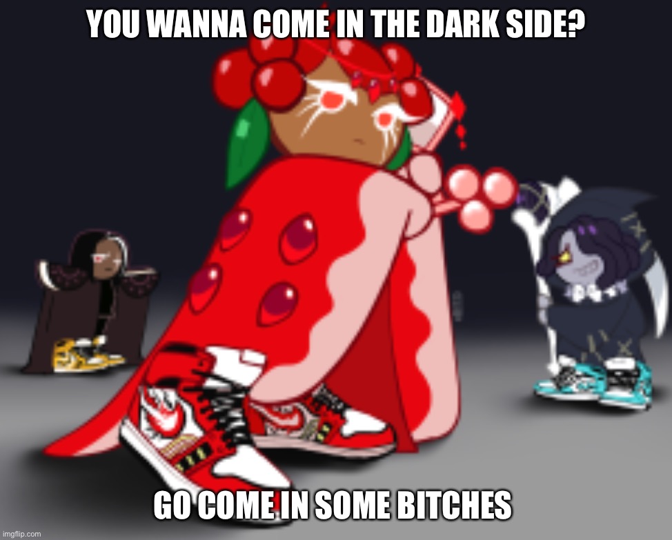 YOU WANNA COME IN THE DARK SIDE? GO COME IN SOME BITCHES | made w/ Imgflip meme maker