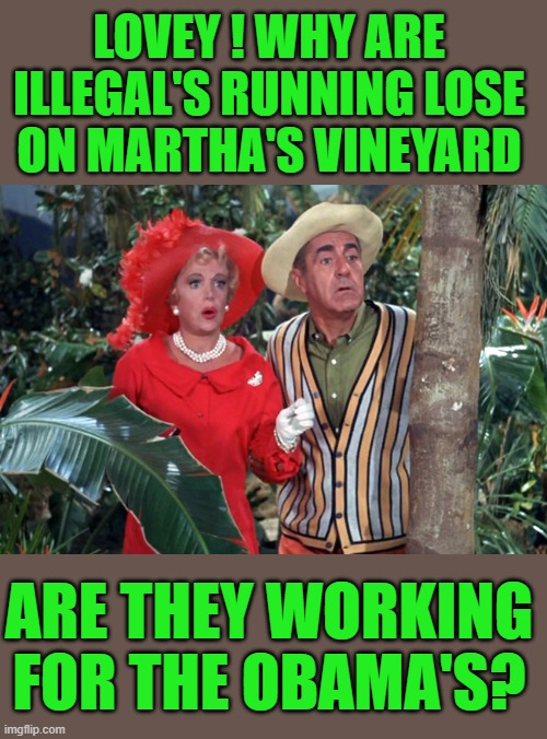 yep | LOVEY ! WHY ARE ILLEGAL'S RUNNING LOSE ON MARTHA'S VINEYARD; ARE THEY WORKING FOR THE OBAMA'S? | image tagged in democrats | made w/ Imgflip meme maker