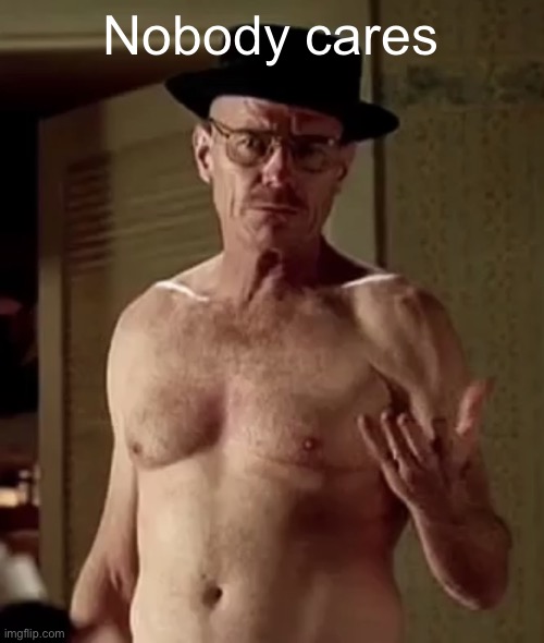 Walter white the one piece is real | Nobody cares | image tagged in walter white the one piece is real | made w/ Imgflip meme maker
