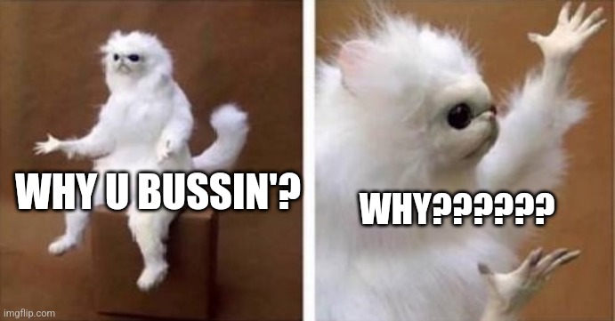 Bussin | WHY?????? WHY U BUSSIN'? | image tagged in white monkey | made w/ Imgflip meme maker