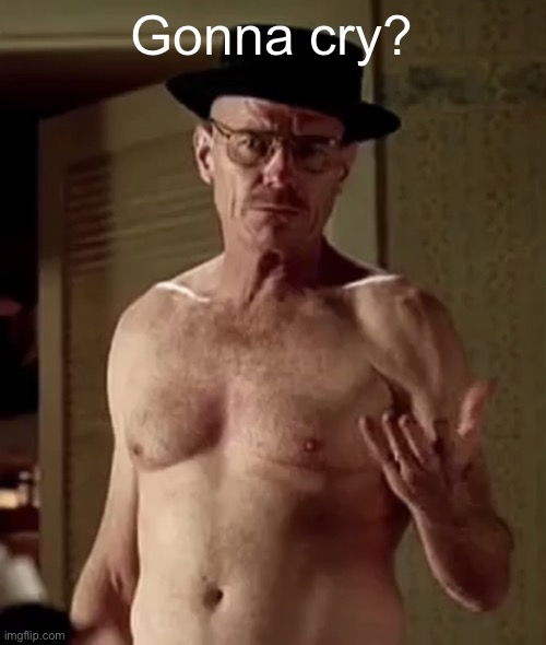 Walter white the one piece is real | Gonna cry? | image tagged in walter white the one piece is real | made w/ Imgflip meme maker