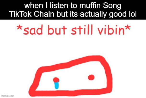 sad but still vibin | when I listen to muffin Song TikTok Chain but its actually good lol | image tagged in sad but still vibin | made w/ Imgflip meme maker