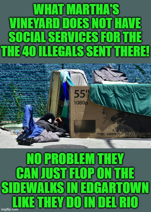 yep | WHAT MARTHA'S VINEYARD DOES NOT HAVE SOCIAL SERVICES FOR THE THE 40 ILLEGALS SENT THERE! NO PROBLEM THEY CAN JUST FLOP ON THE SIDEWALKS IN EDGARTOWN LIKE THEY DO IN DEL RIO | image tagged in democrats | made w/ Imgflip meme maker