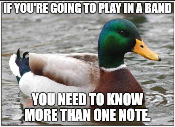 Actual Advice Mallard Meme | IF YOU'RE GOING TO PLAY IN A BAND YOU NEED TO KNOW MORE THAN ONE NOTE. | image tagged in memes,actual advice mallard | made w/ Imgflip meme maker