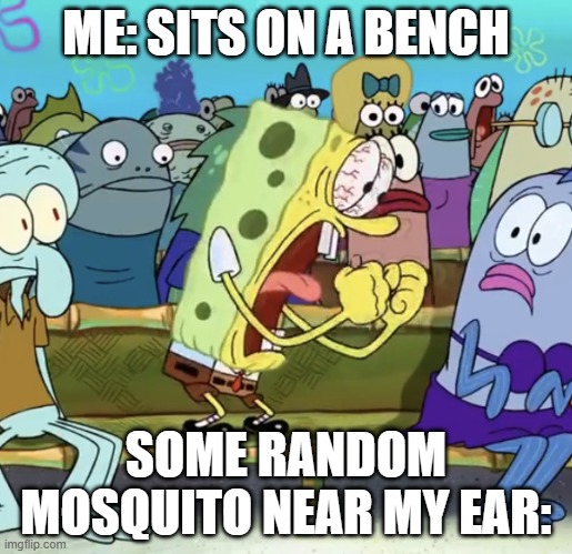 Spongebob Yelling | ME: SITS ON A BENCH; SOME RANDOM MOSQUITO NEAR MY EAR: | image tagged in spongebob yelling,memes,spongebob | made w/ Imgflip meme maker