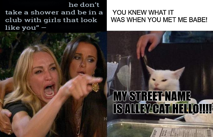 IM ALL THAT THEY SAY I AM AND THEN SOME! | YOU KNEW WHAT IT WAS WHEN YOU MET ME BABE! MY STREET NAME IS ALLEY CAT HELLO!!!! | image tagged in memes,woman yelling at cat | made w/ Imgflip meme maker