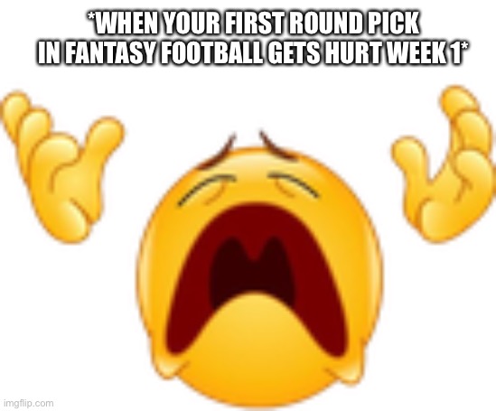 First Round Pick Gets Hurt | *WHEN YOUR FIRST ROUND PICK IN FANTASY FOOTBALL GETS HURT WEEK 1* | image tagged in whyyyy,fantasy football,crying,nfl memes,first round pick | made w/ Imgflip meme maker