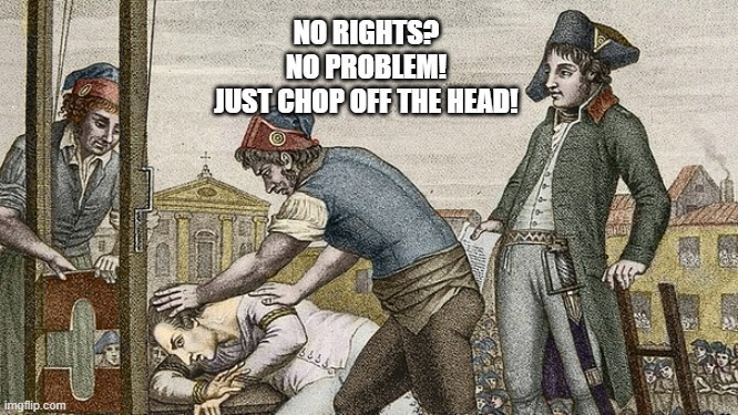 The French Revolution in Robespierre's Eyes | NO RIGHTS?
NO PROBLEM!
JUST CHOP OFF THE HEAD! | image tagged in guillotine this,memes | made w/ Imgflip meme maker