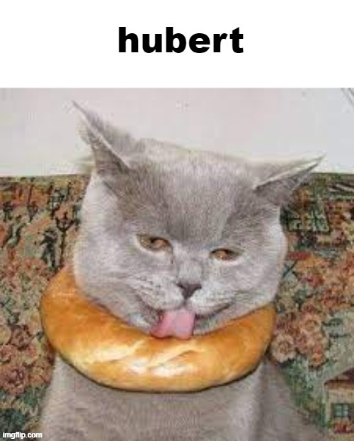 hubert | image tagged in hubert | made w/ Imgflip meme maker