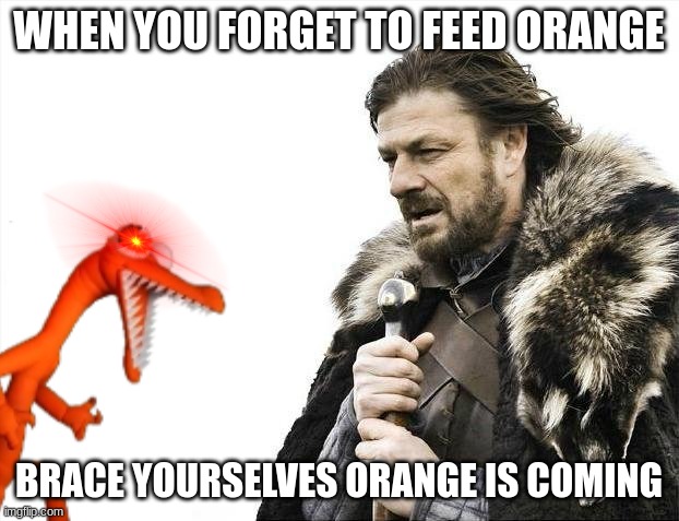 Halp | WHEN YOU FORGET TO FEED ORANGE; BRACE YOURSELVES ORANGE IS COMING | image tagged in friends,orange,winter is coming | made w/ Imgflip meme maker