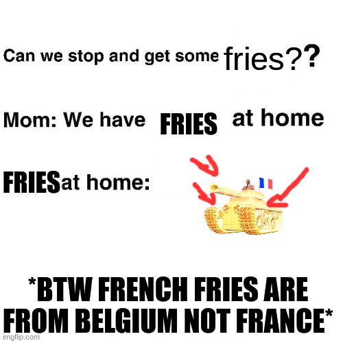 Fries At Home | fries? FRIES; FRIES; *BTW FRENCH FRIES ARE FROM BELGIUM NOT FRANCE* | image tagged in at home,french fries | made w/ Imgflip meme maker