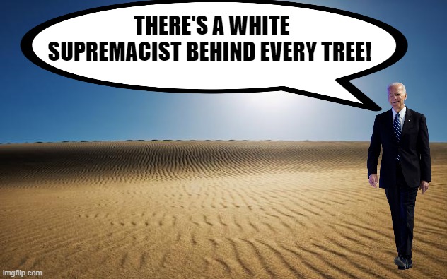 desert | THERE'S A WHITE SUPREMACIST BEHIND EVERY TREE! | image tagged in desert | made w/ Imgflip meme maker