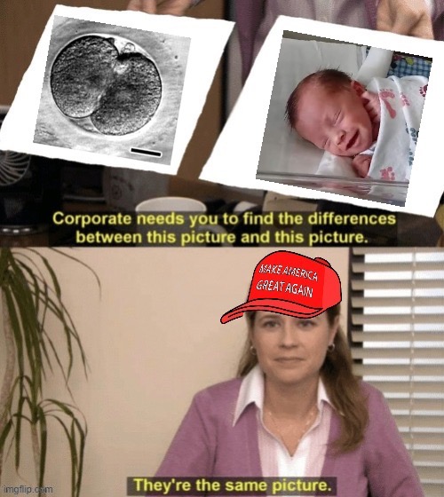 (PSST — don’t tell her that the left picture is actually a monkey zygote) | image tagged in pro-life logic,pro-choice,abortion,fetal development,zygote,reproductive biology | made w/ Imgflip meme maker