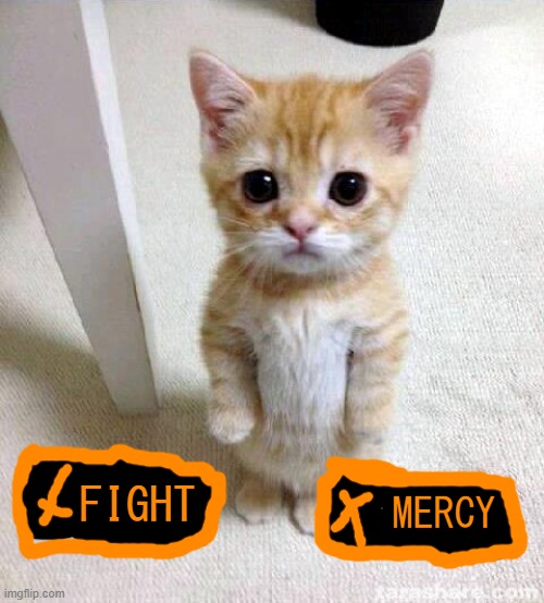 I know I suck at drawing |  FIGHT; MERCY | image tagged in memes,cute cat | made w/ Imgflip meme maker