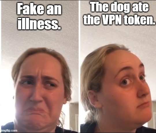 How to call off while working remotely |  The dog ate the VPN token. Fake an illness. | image tagged in kombucha girl,work,working from home | made w/ Imgflip meme maker