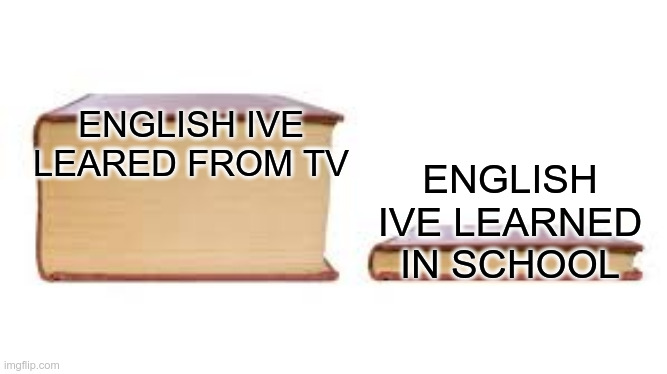 Big book small book | ENGLISH IVE LEARED FROM TV; ENGLISH IVE LEARNED IN SCHOOL | image tagged in big book small book | made w/ Imgflip meme maker