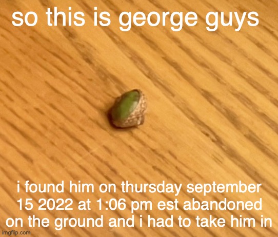 hes my baby | so this is george guys; i found him on thursday september 15 2022 at 1:06 pm est abandoned on the ground and i had to take him in | made w/ Imgflip meme maker