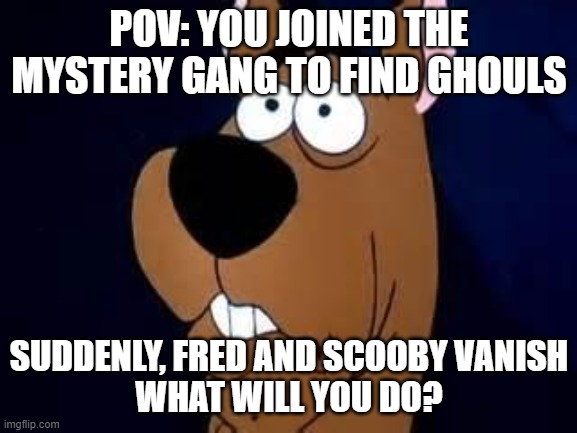 Whats New, Scooby Doo? | POV: YOU JOINED THE MYSTERY GANG TO FIND GHOULS; SUDDENLY, FRED AND SCOOBY VANISH
WHAT WILL YOU DO? | image tagged in scooby doo surprised | made w/ Imgflip meme maker