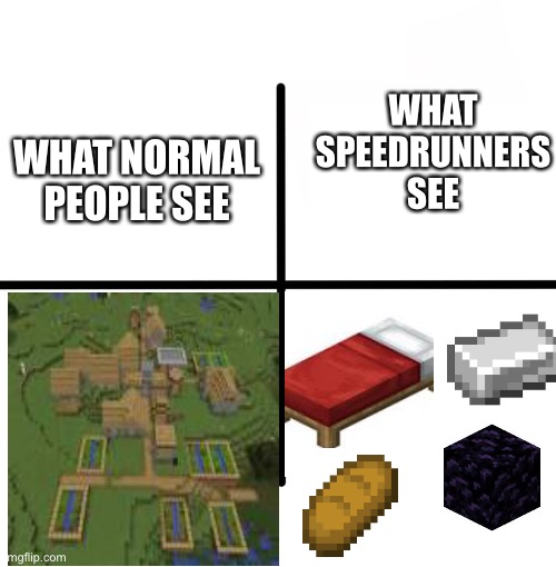What normal people see vs what speedrunners see | WHAT SPEEDRUNNERS SEE; WHAT NORMAL PEOPLE SEE | image tagged in memes,blank starter pack | made w/ Imgflip meme maker