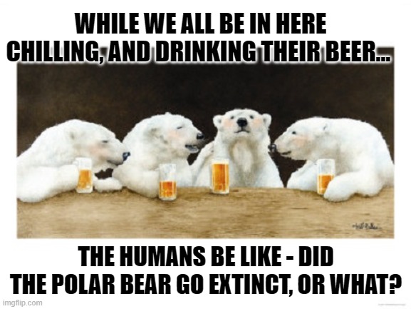 Can You Bear It? | WHILE WE ALL BE IN HERE CHILLING, AND DRINKING THEIR BEER... THE HUMANS BE LIKE - DID THE POLAR BEAR GO EXTINCT, OR WHAT? | image tagged in polar bears drinking beer,memes,humor,global warming,funny,interesting | made w/ Imgflip meme maker