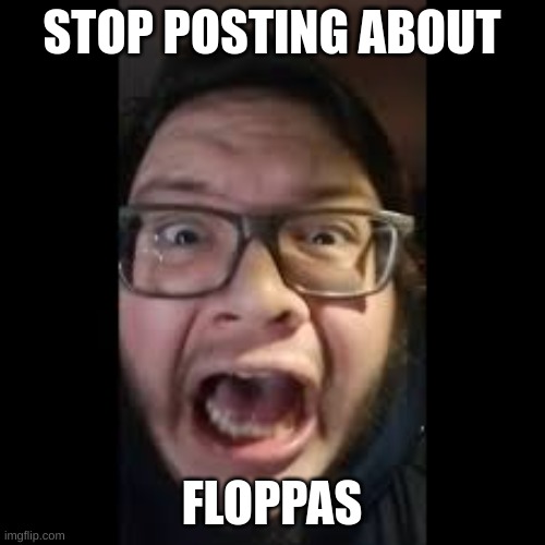 STOP. POSTING. ABOUT AMONG US | STOP POSTING ABOUT FLOPPAS | image tagged in stop posting about among us | made w/ Imgflip meme maker